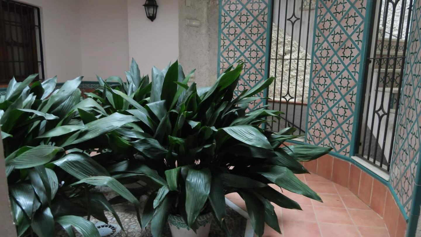 Apartamento Charming Albaicin Patio Flat Free Onsite Parking Granada Exterior foto